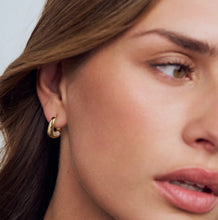 Load image into Gallery viewer, Borsa Piccolo Gold Plated Earrings
