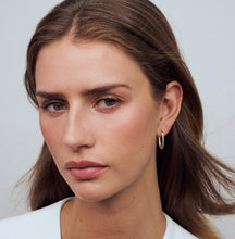 Load image into Gallery viewer, Ellisse Pianura Piccolo 2Tone Earrings
