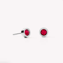 Load image into Gallery viewer, Earrings Crystal &amp; stainless steel silver red
